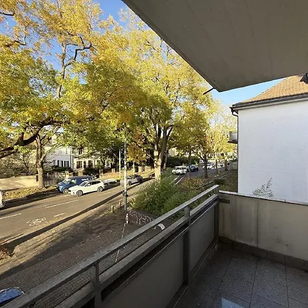 Stiftswingert מיינץ