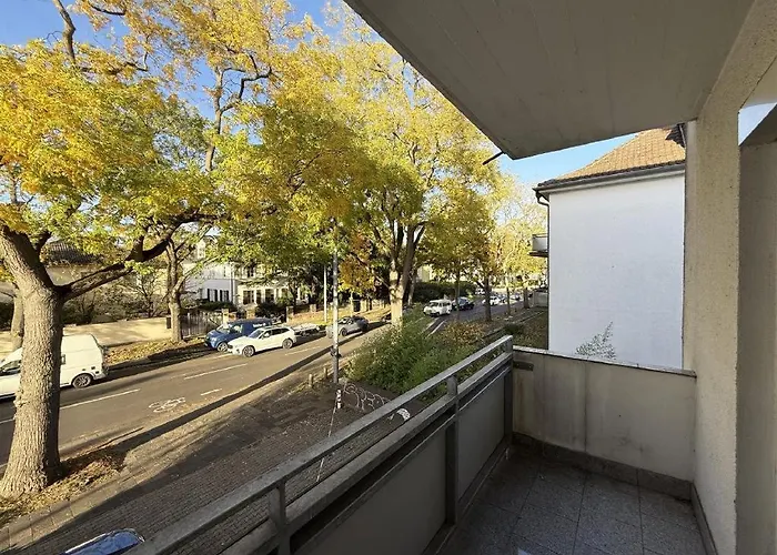 Stiftswingert Mohuč